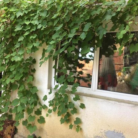 Casa Cu Curte Braşov Exterior foto